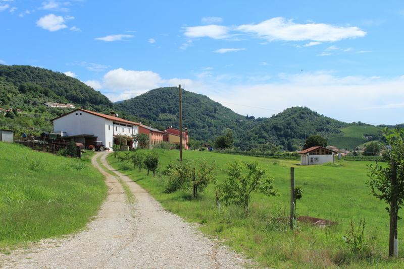 Agriturismo Mazzeracca Bassano del Grappa Eksteriør billede