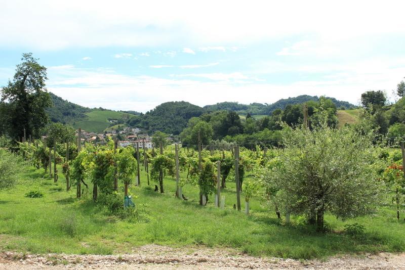 Agriturismo Mazzeracca Bassano del Grappa Eksteriør billede