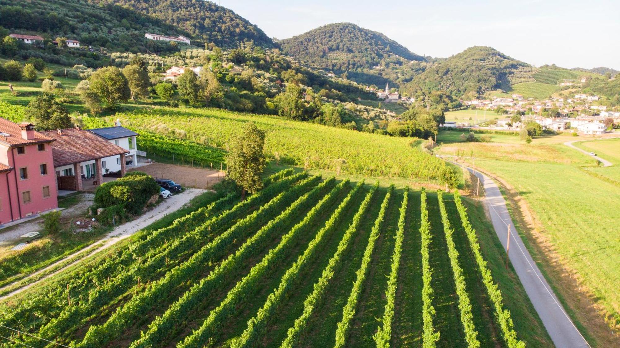 Agriturismo Mazzeracca Bassano del Grappa Eksteriør billede